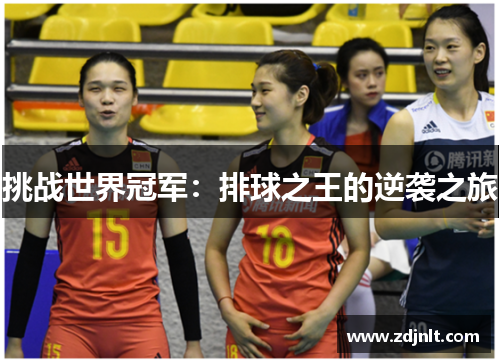 挑战世界冠军：排球之王的逆袭之旅